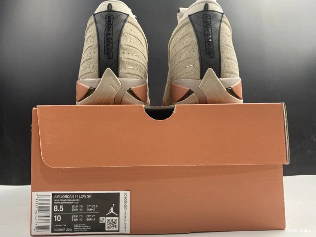 Rep Husky Terra DC9857-200 Jordan Low 14 Clot Blush AIR Retro 0731
